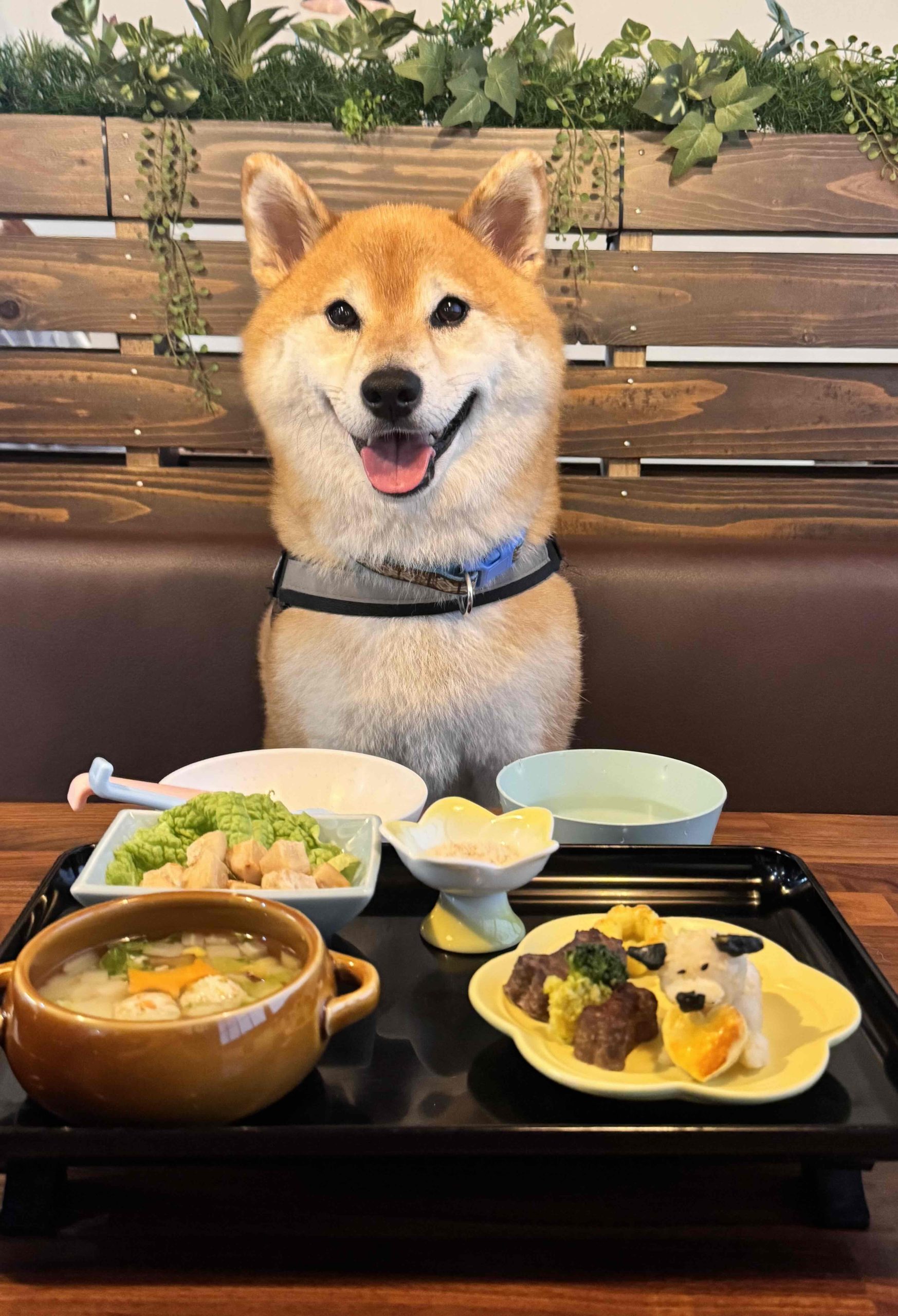 蔭山　影丸